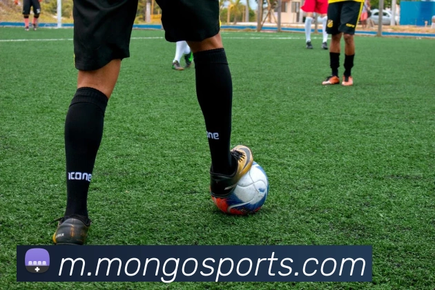 体育下注品牌故事